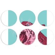 Магнитные фотопазлы круги d55 набор 6 штук 