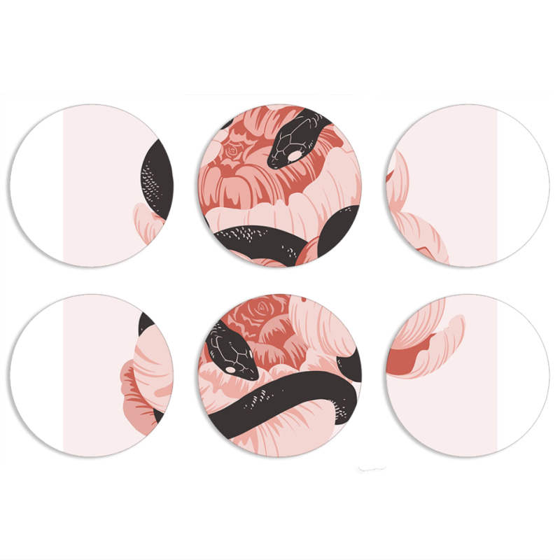 Магнитные фотопазлы круги d55 набор 6 штук 