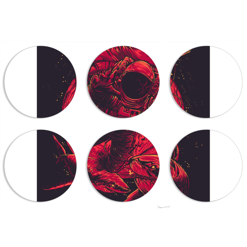 Магнитные фотопазлы круги d55 набор 6 штук 