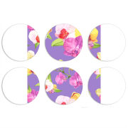 Магнитные фотопазлы круги d55 набор 6 штук 