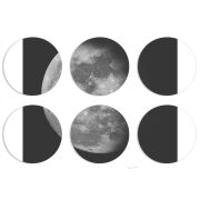 Магнитные фотопазлы круги d55 набор 6 штук 