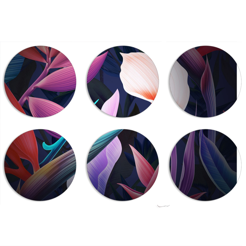 Магнитные фотопазлы круги d55 набор 6 штук 