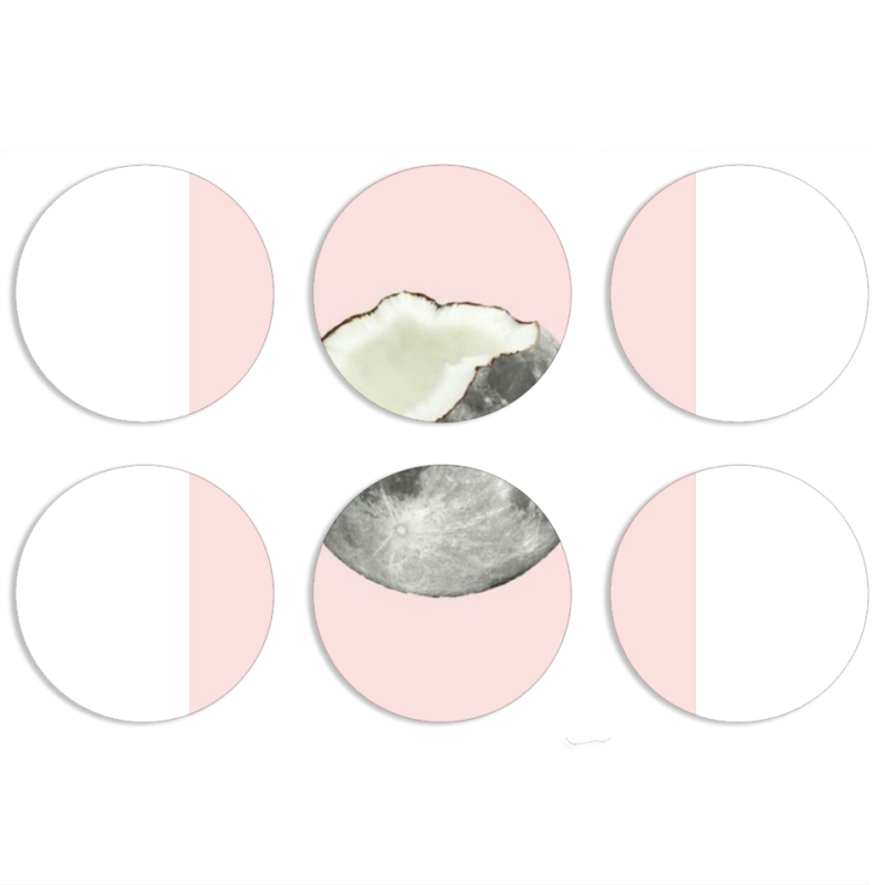 Магнитные фотопазлы круги d55 набор 6 штук 