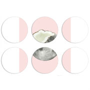 Магнитные фотопазлы круги d55 набор 6 штук 