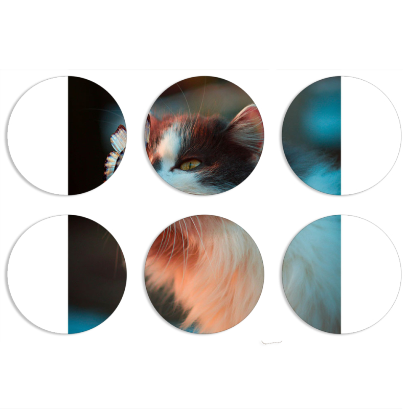 Магнитные фотопазлы круги d55 набор 6 штук 