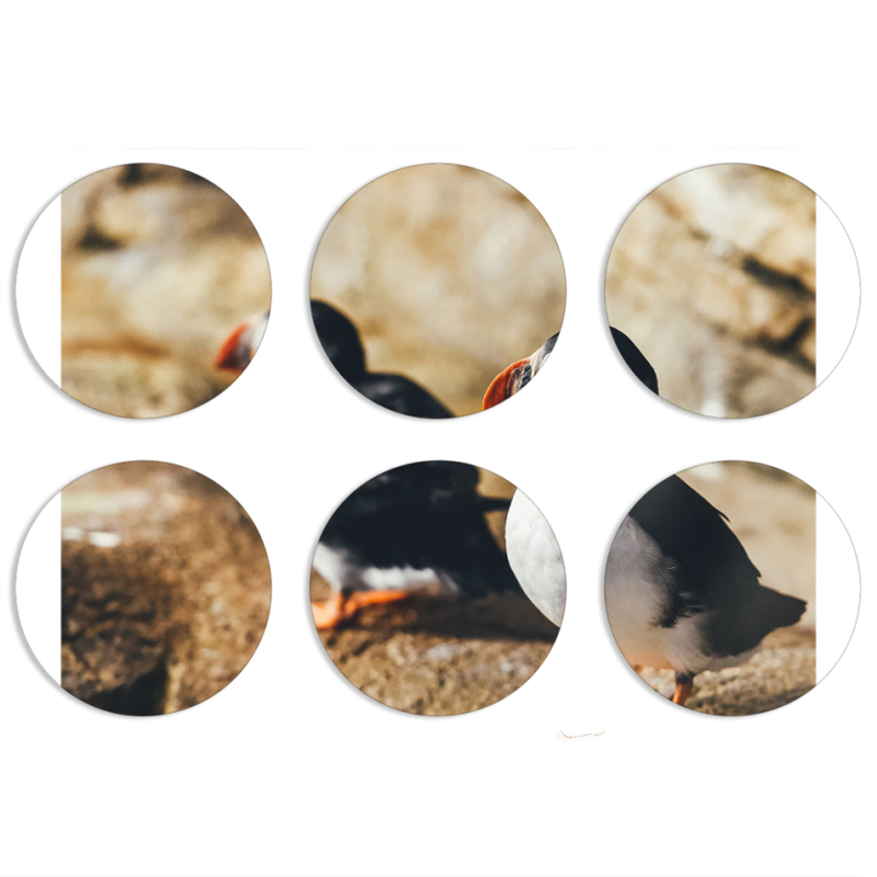 Магнитные фотопазлы круги d55 набор 6 штук 