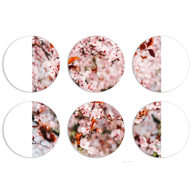Магнитные фотопазлы круги d55 набор 6 штук 