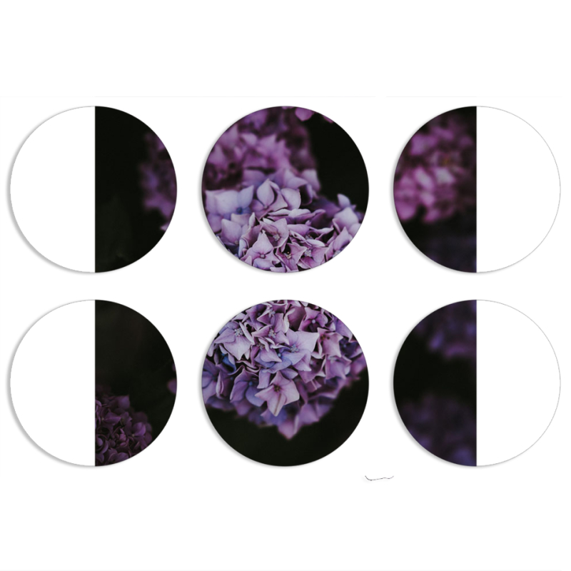 Магнитные фотопазлы круги d55 набор 6 штук 