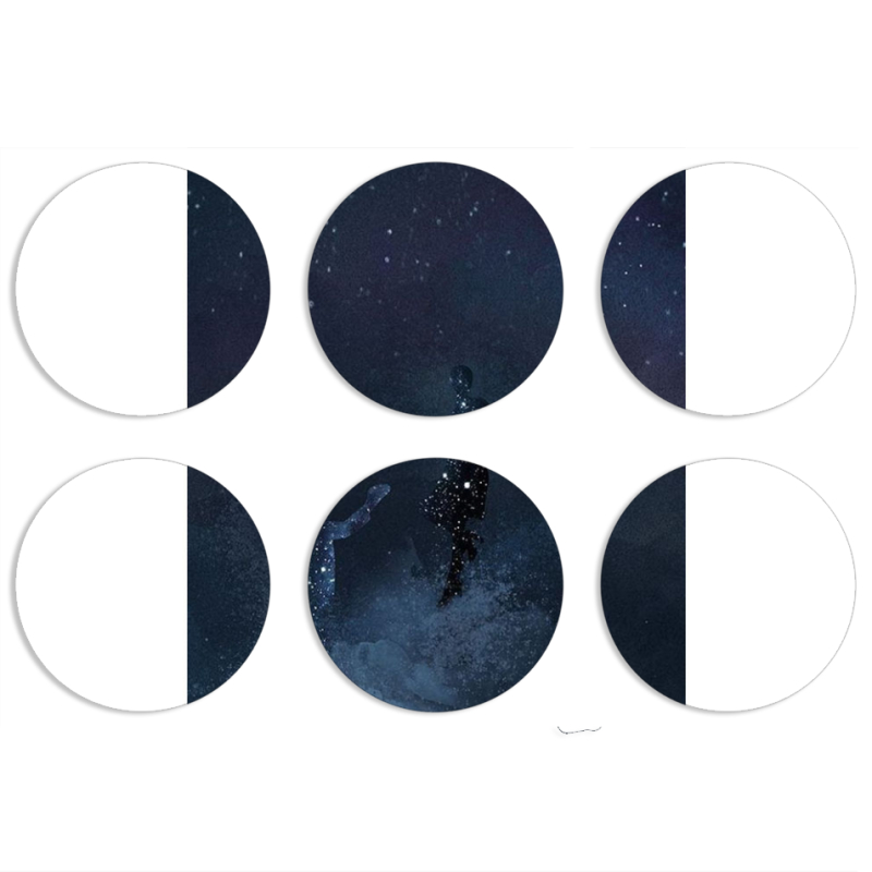 Магнитные фотопазлы круги d55 набор 6 штук 