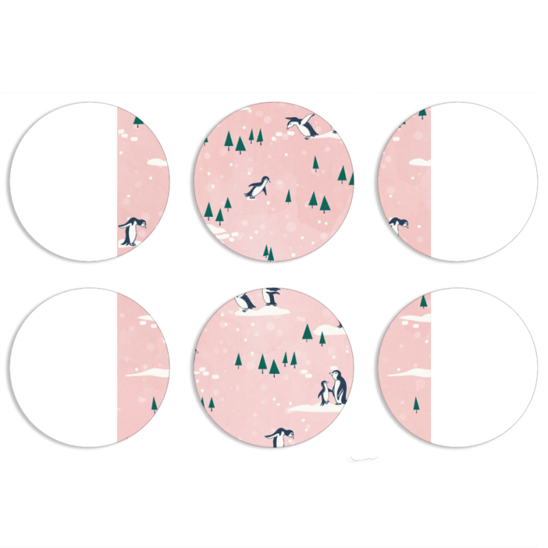 Магнитные фотопазлы круги d55 набор 6 штук 