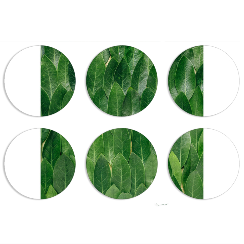 Магнитные фотопазлы круги d55 набор 6 штук 