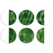 Магнитные фотопазлы круги d55 набор 6 штук 