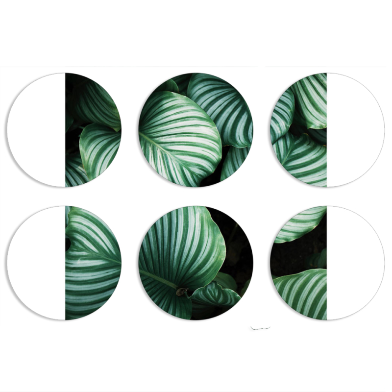 Магнитные фотопазлы круги d55 набор 6 штук 