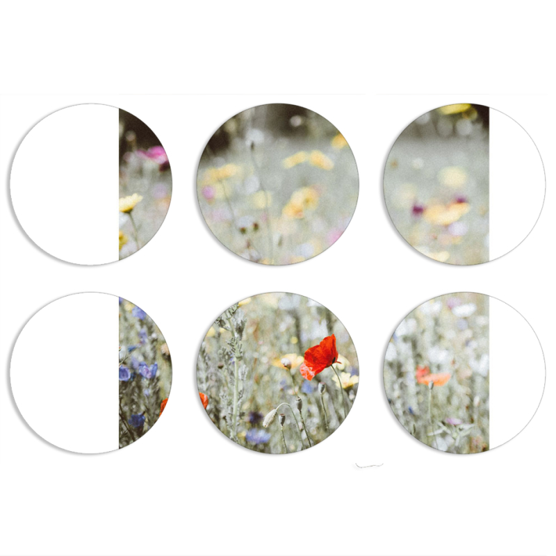 Магнитные фотопазлы круги d55 набор 6 штук 