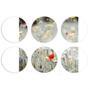 Магнитные фотопазлы круги d55 набор 6 штук 