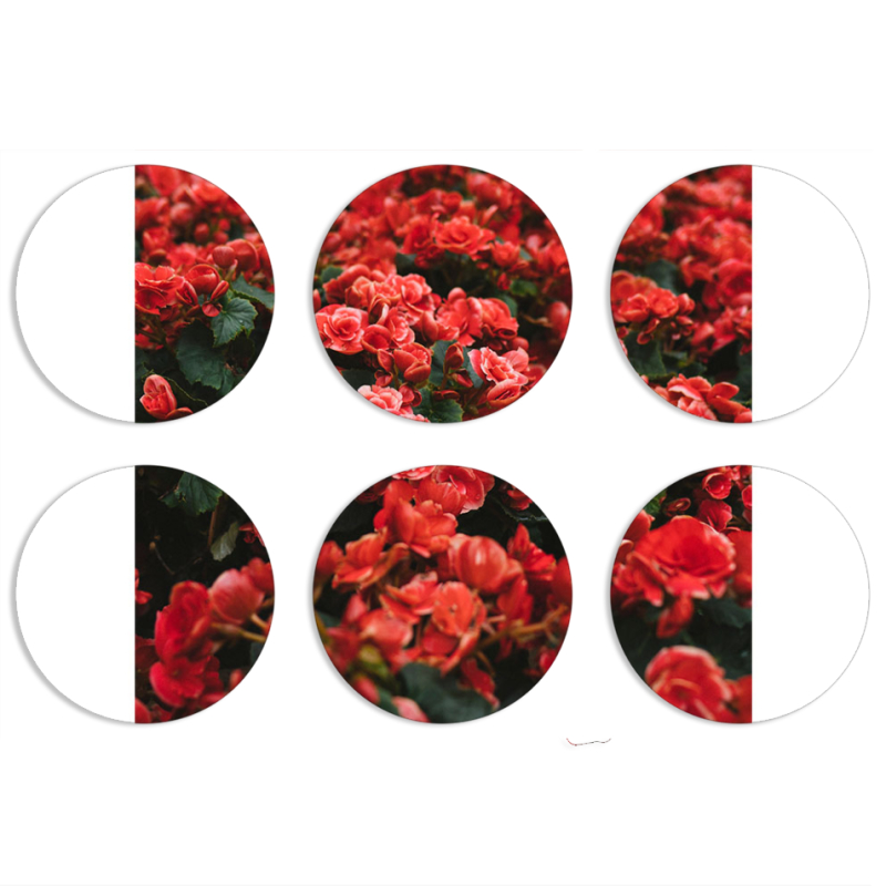 Магнитные фотопазлы круги d55 набор 6 штук 