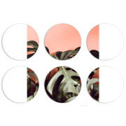 Магнитные фотопазлы круги d55 набор 6 штук 