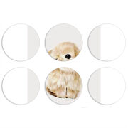 Магнитные фотопазлы круги d55 набор 6 штук 