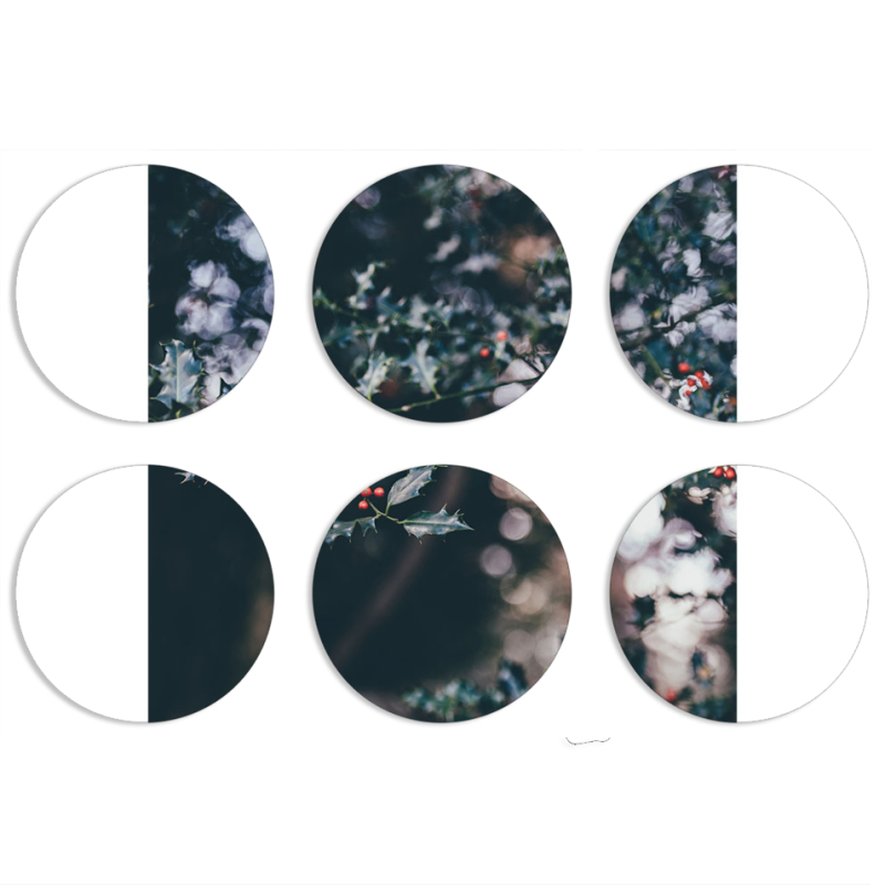 Магнитные фотопазлы круги d55 набор 6 штук 