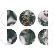 Магнитные фотопазлы круги d55 набор 6 штук 