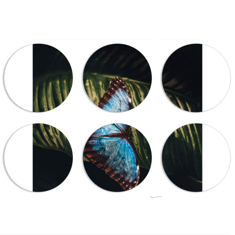 Магнитные фотопазлы круги d55 набор 6 штук 