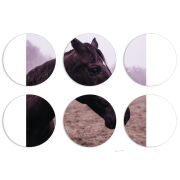 Магнитные фотопазлы круги d55 набор 6 штук 