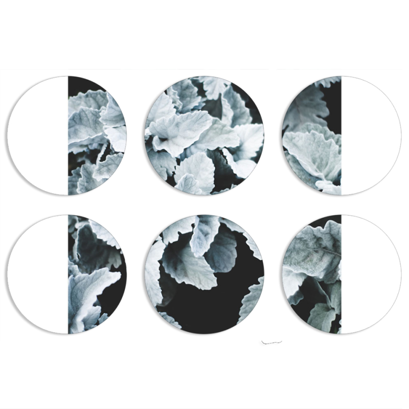 Магнитные фотопазлы круги d55 набор 6 штук 