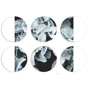 Магнитные фотопазлы круги d55 набор 6 штук 