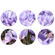 Магнитные фотопазлы круги d55 набор 6 штук 