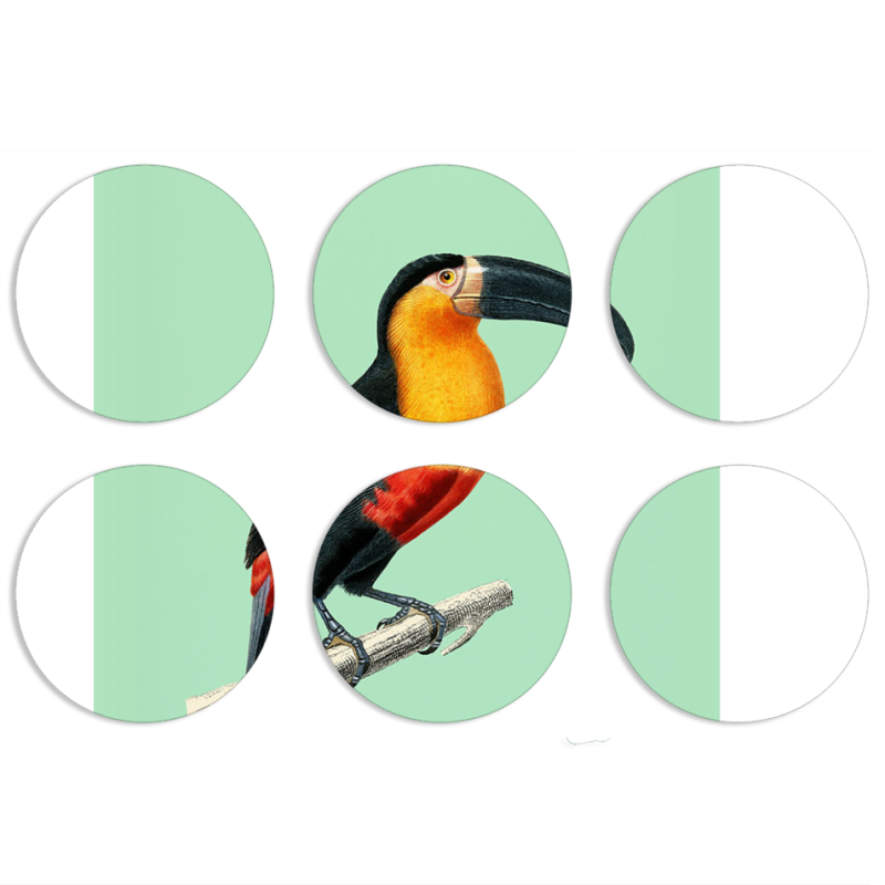 Магнитные фотопазлы круги d55 набор 6 штук 