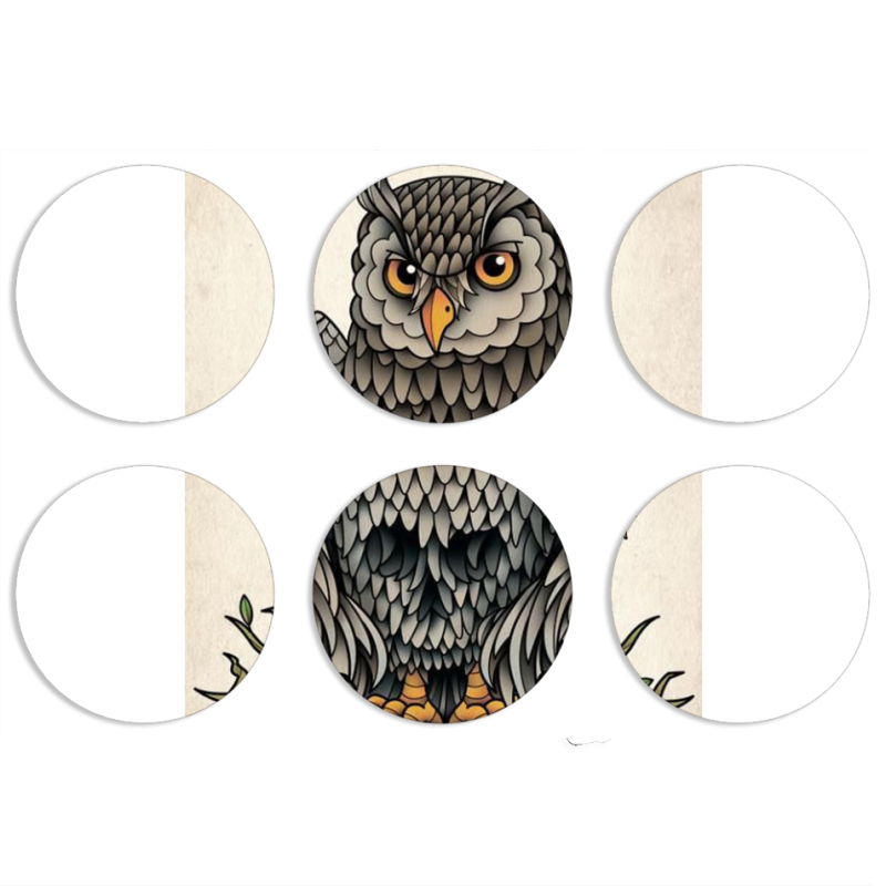 Магнитные фотопазлы круги d55 набор 6 штук 