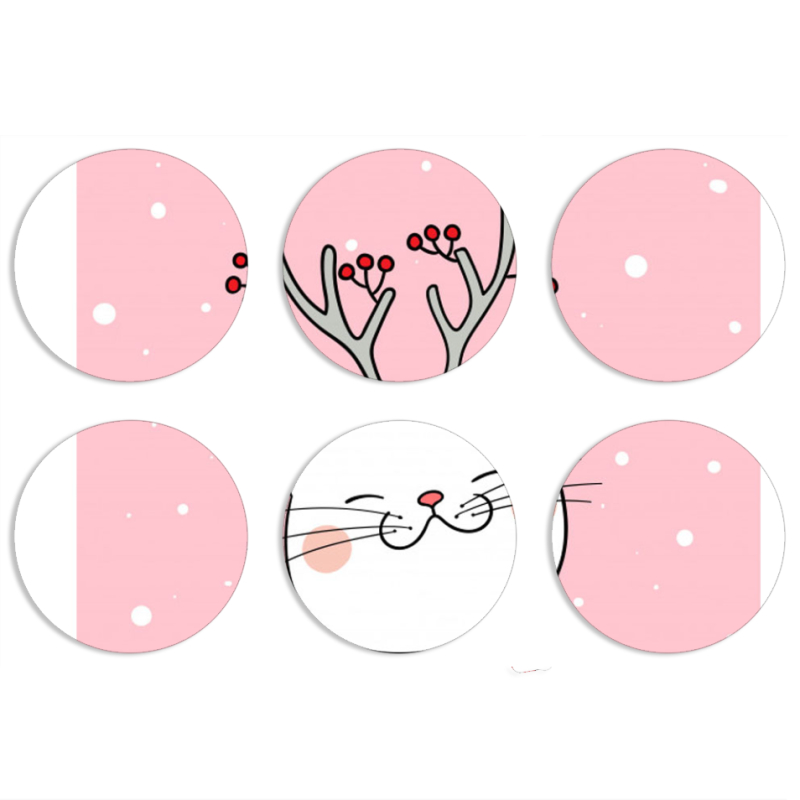 Магнитные фотопазлы круги d55 набор 6 штук 