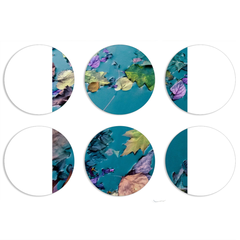 Магнитные фотопазлы круги d55 набор 6 штук 