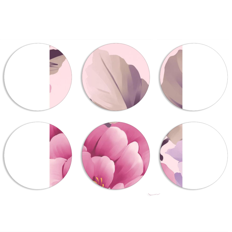 Магнитные фотопазлы круги d55 набор 6 штук 