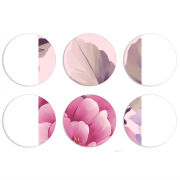 Магнитные фотопазлы круги d55 набор 6 штук 