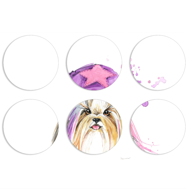 Магнитные фотопазлы круги d55 набор 6 штук 