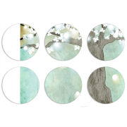 Магнитные фотопазлы круги d55 набор 6 штук 