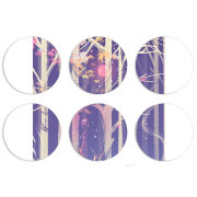 Магнитные фотопазлы круги d55 набор 6 штук 