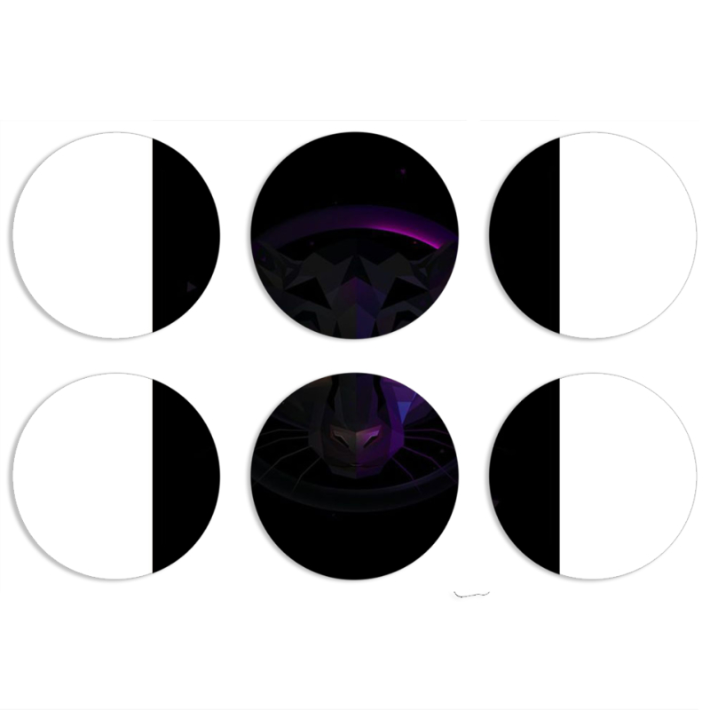 Магнитные фотопазлы круги d55 набор 6 штук 