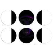 Магнитные фотопазлы круги d55 набор 6 штук 