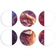 Магнитные фотопазлы круги d55 набор 6 штук 