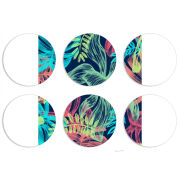 Магнитные фотопазлы круги d55 набор 6 штук 