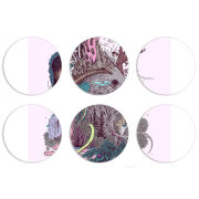 Магнитные фотопазлы круги d55 набор 6 штук 