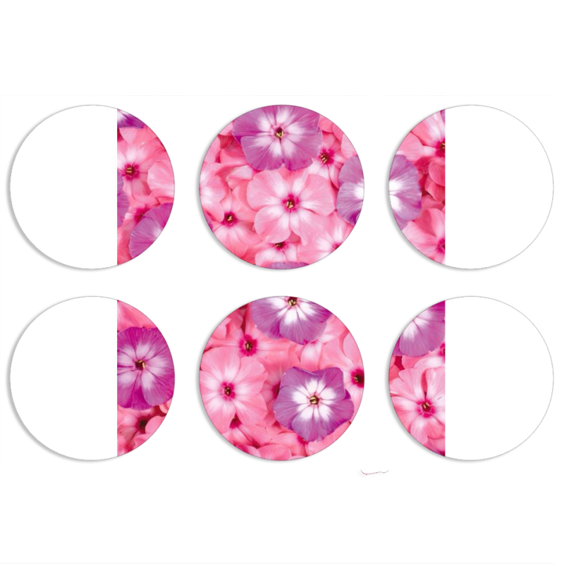 Магнитные фотопазлы круги d55 набор 6 штук 