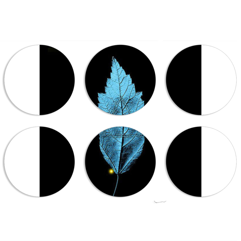 Магнитные фотопазлы круги d55 набор 6 штук 