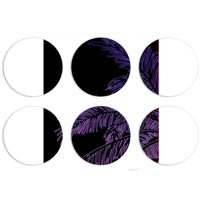 Магнитные фотопазлы круги d55 набор 6 штук 