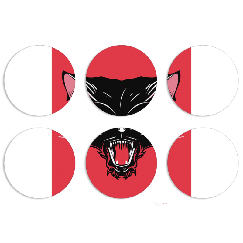 Магнитные фотопазлы круги d55 набор 6 штук 