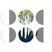 Магнитные фотопазлы круги d55 набор 6 штук Natures Hands