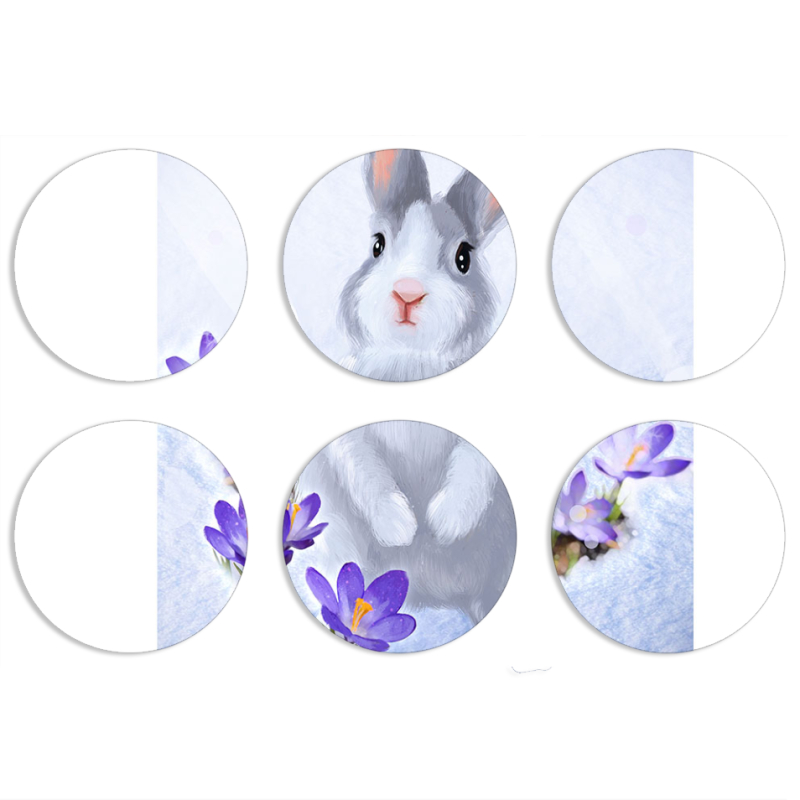 Магнитные фотопазлы круги d55 набор 6 штук 