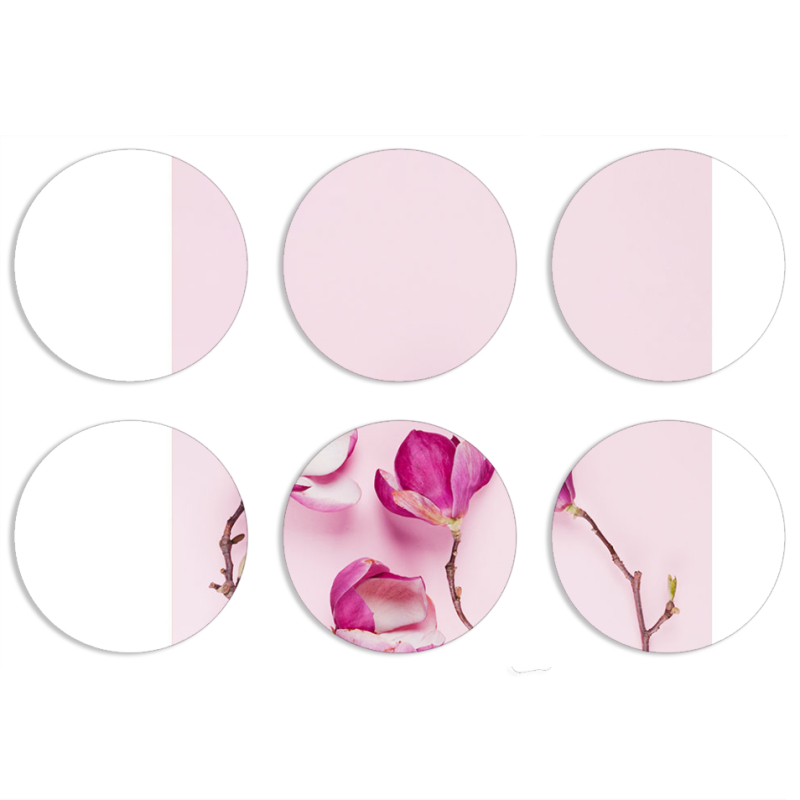 Магнитные фотопазлы круги d55 набор 6 штук 